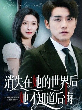 消失在她的世界后她才知道后悔(全集)