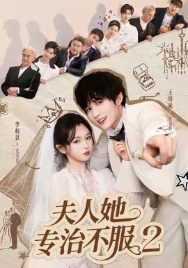 夫人她专治不服2(全集)