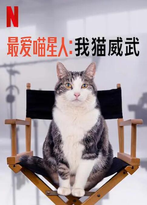 最爱喵星人：我猫威武(全集)